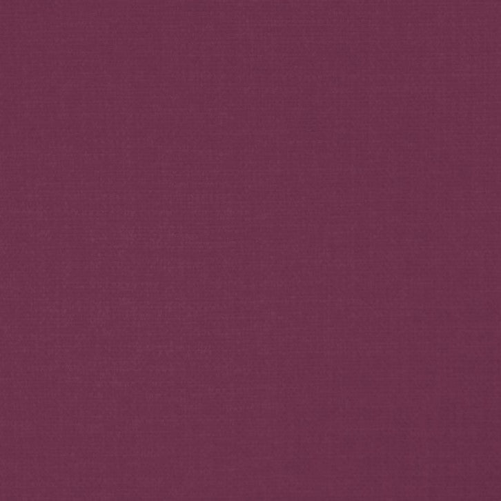 KAI Aneko Passion FR Crib 5