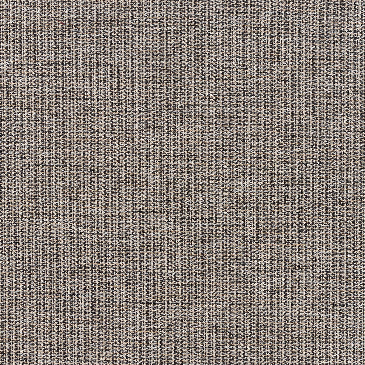 Warwick Wolfe Pepper