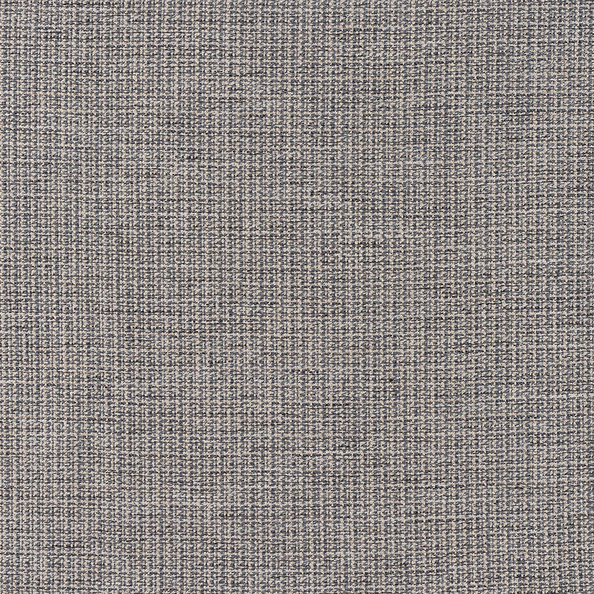 Warwick Wolfe Denim