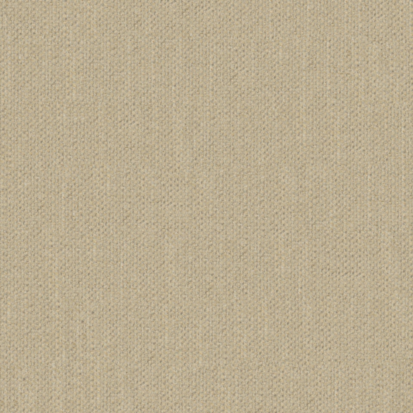 Warwick Krayola Vanilla