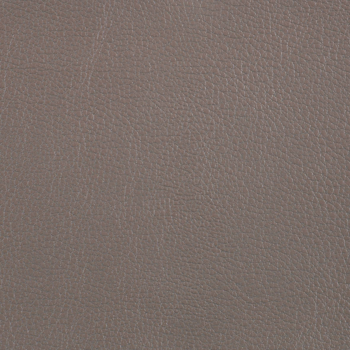 Warwick Marlborough Elephant