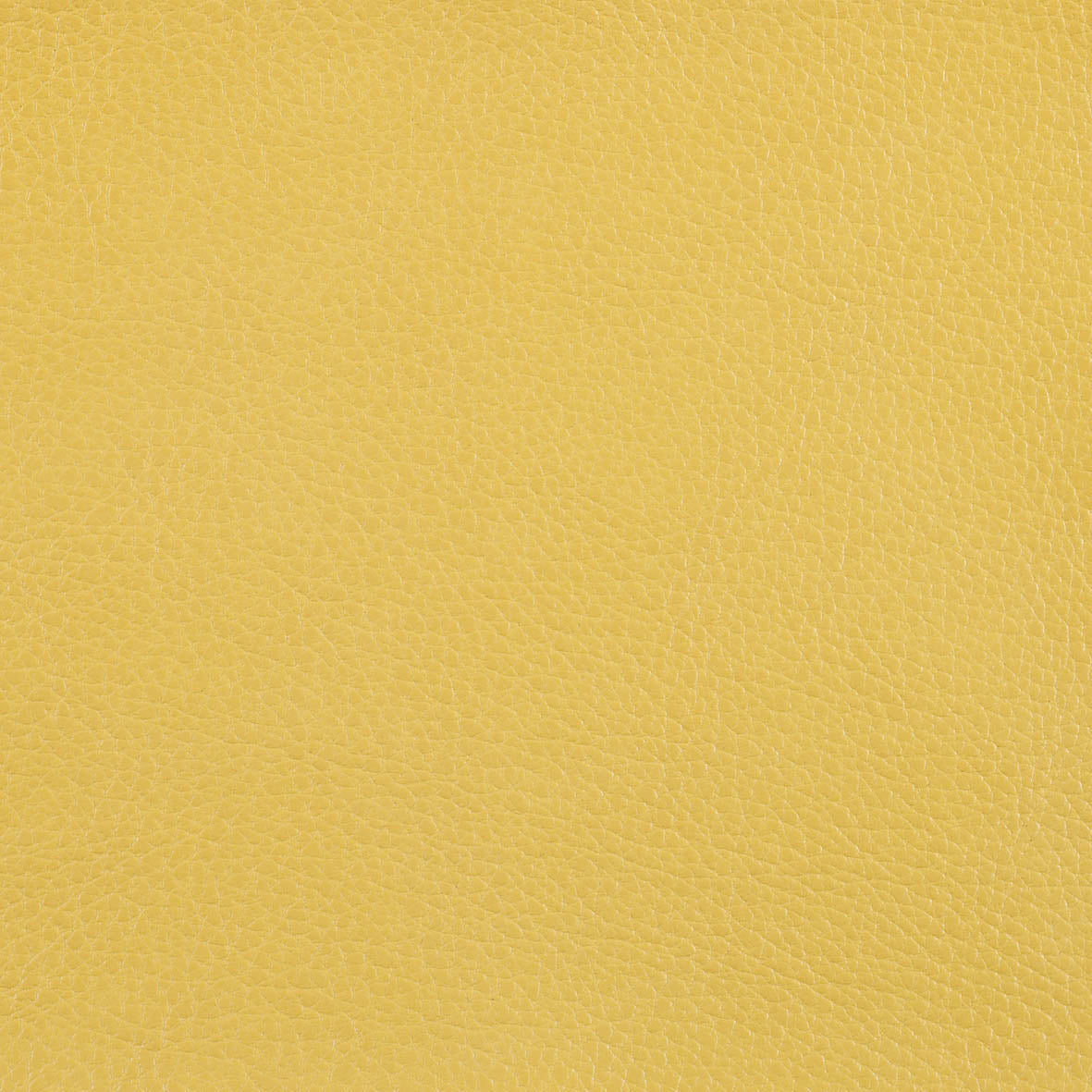 Warwick Marlborough Mustard