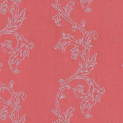 CFO Esme Fuchsia