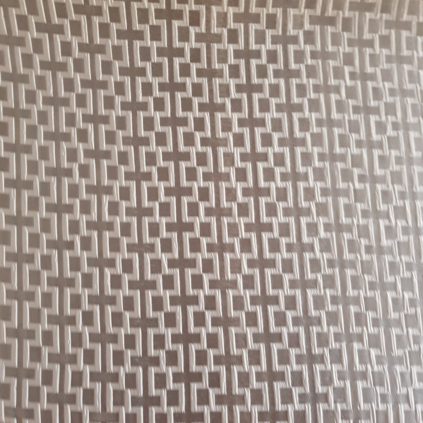 Ashley Wilde Arya Steel