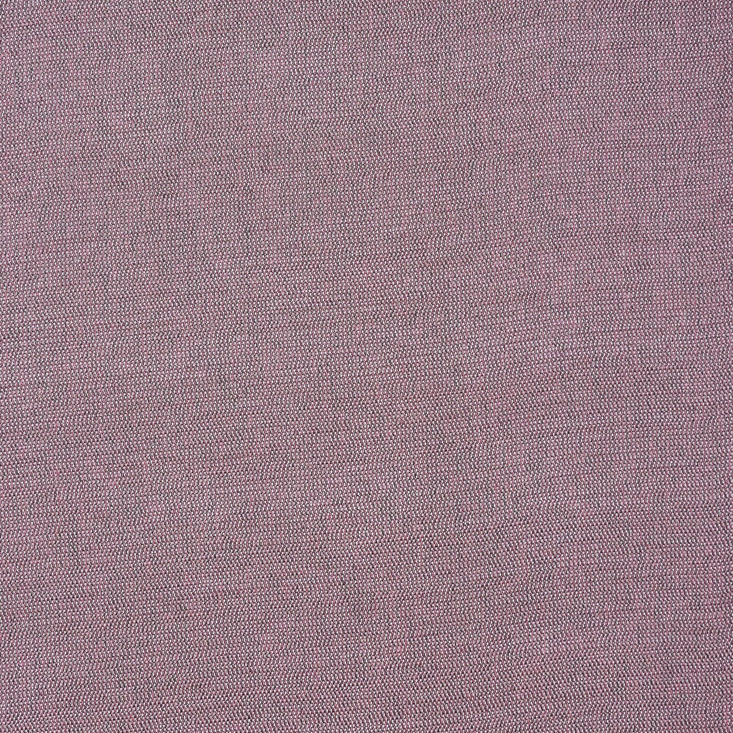 Fryetts Baltic Coral