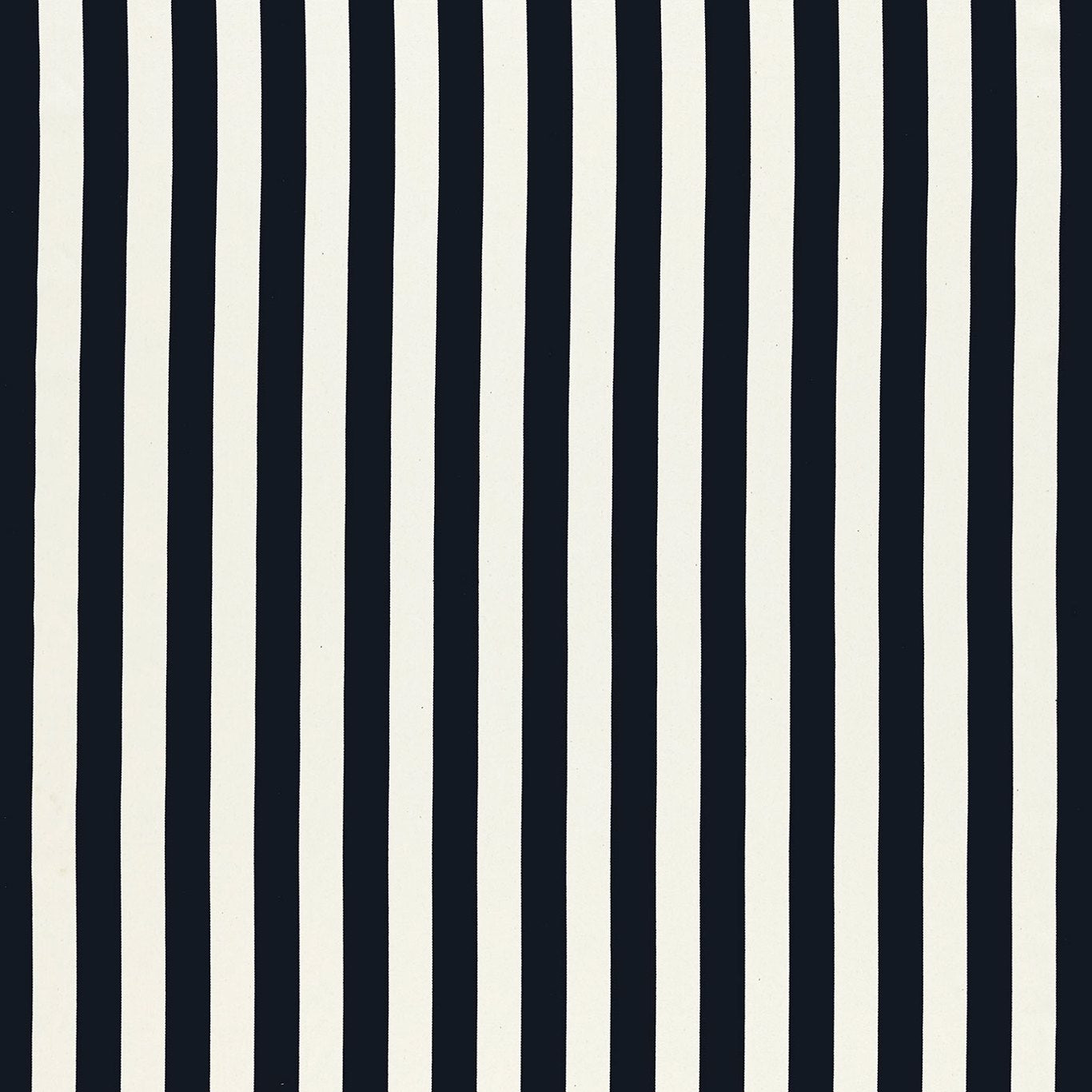 Clarke and Clarke Portland Ebony