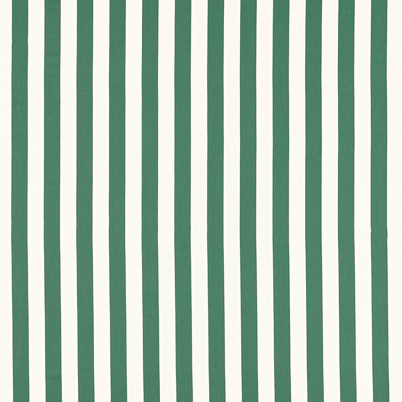 Clarke and Clarke Portland Racing Green