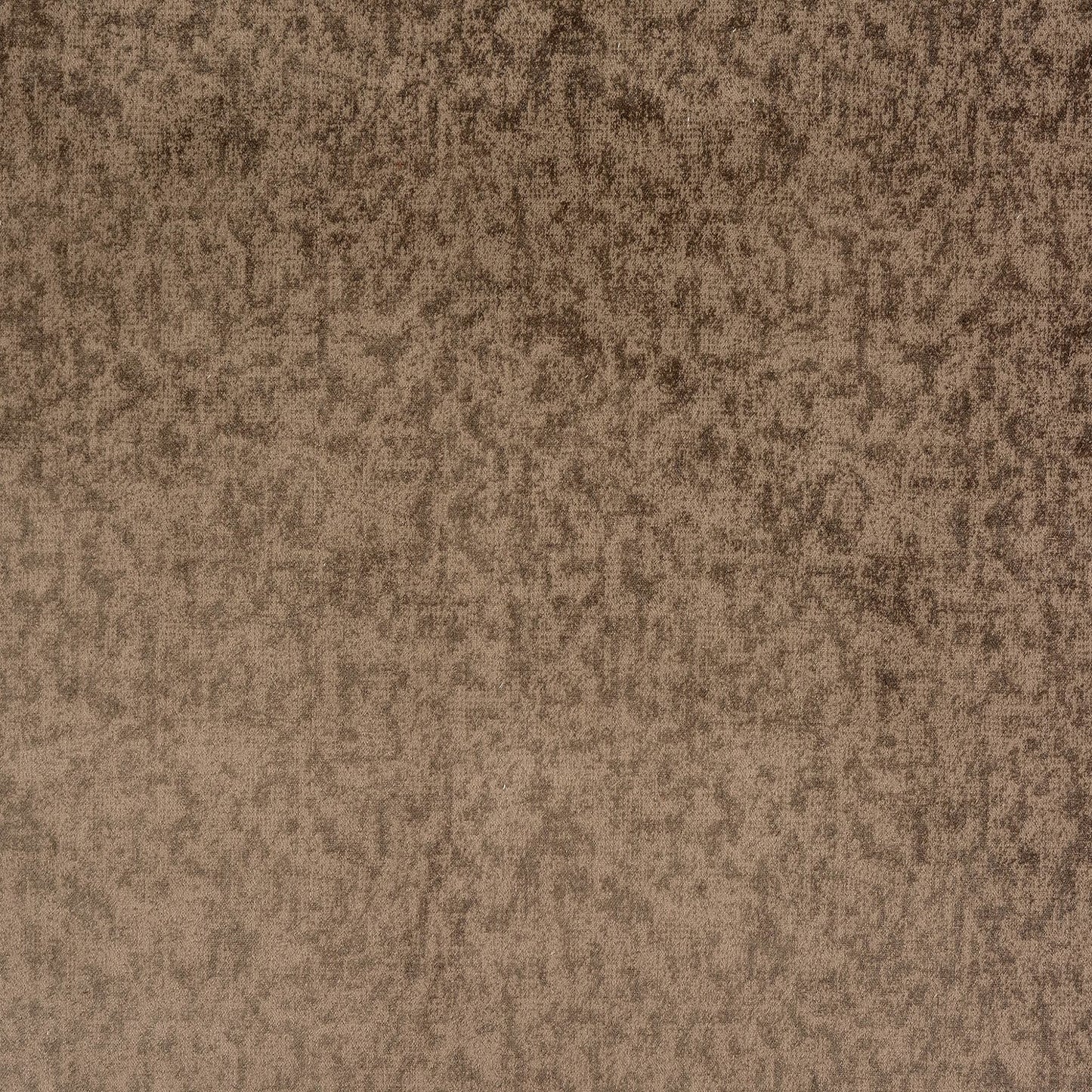 Fryetts Dreamy Antique