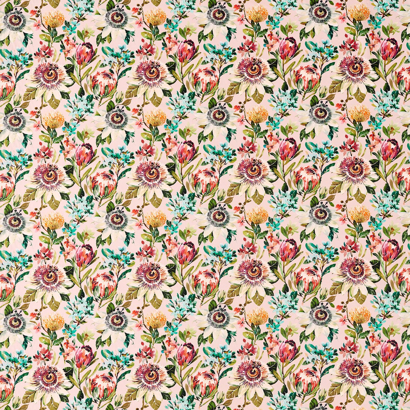 Clarke & Clarke Paradise Blush