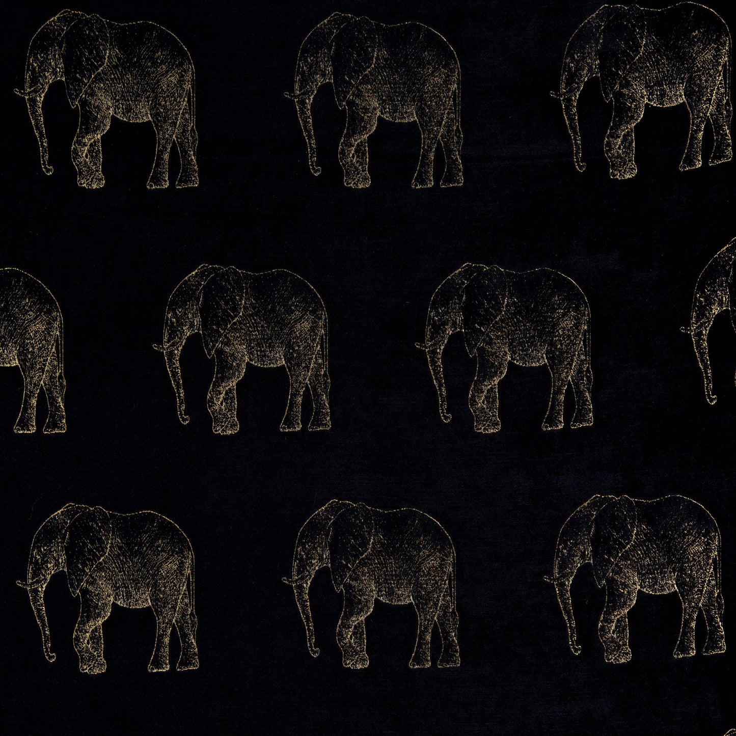 Fryetts Elephant Noir