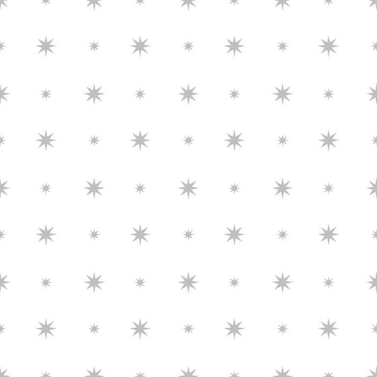 Prestigious Textiles Starlight Silver