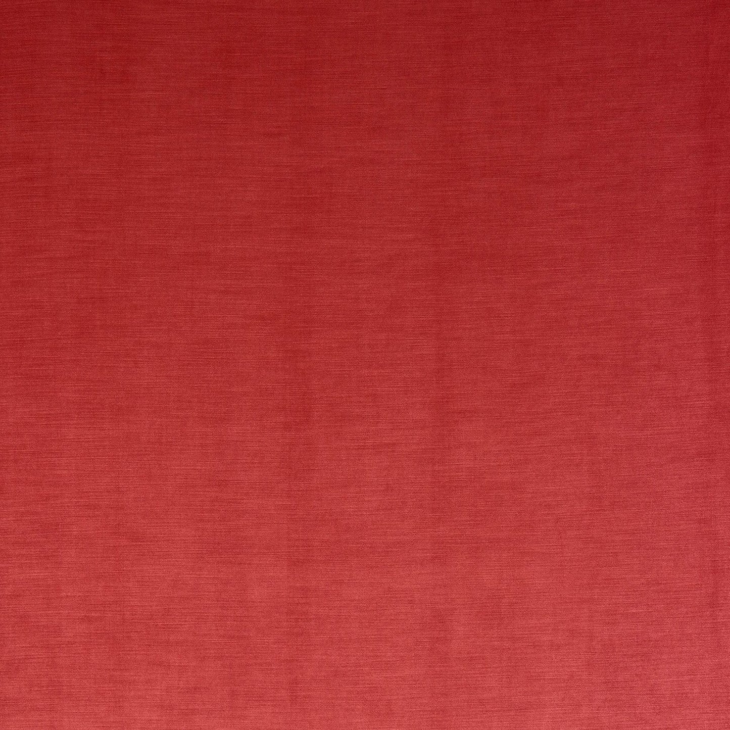 Fryetts Medici Coral