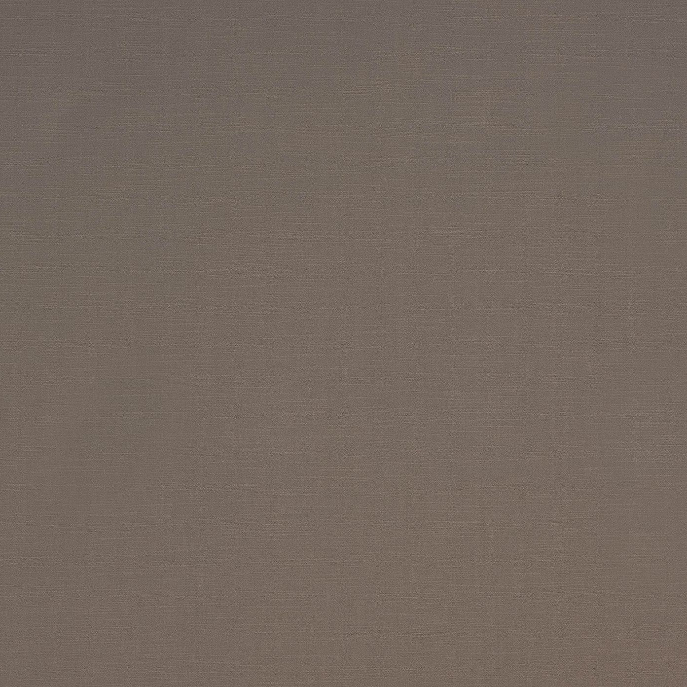 CFO Holland Park Mink