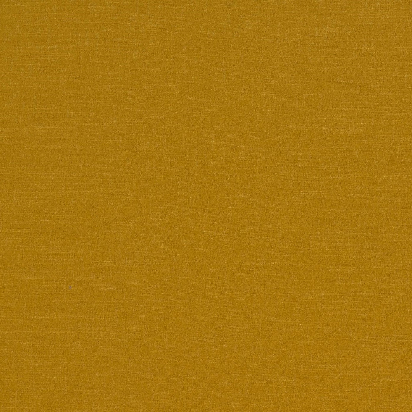 CFO Holland Park Saffron