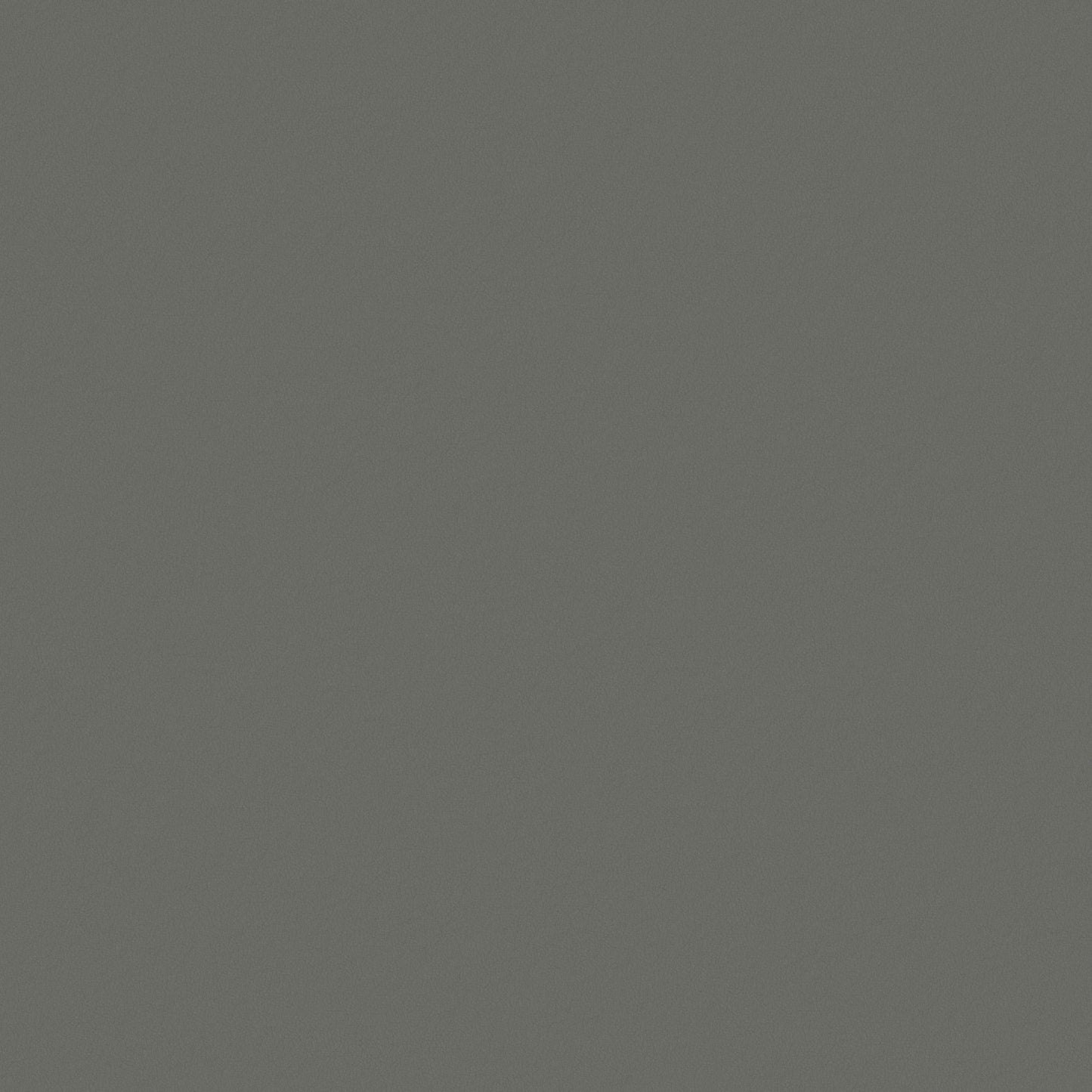 Warwick Ultra Silver Leatherette