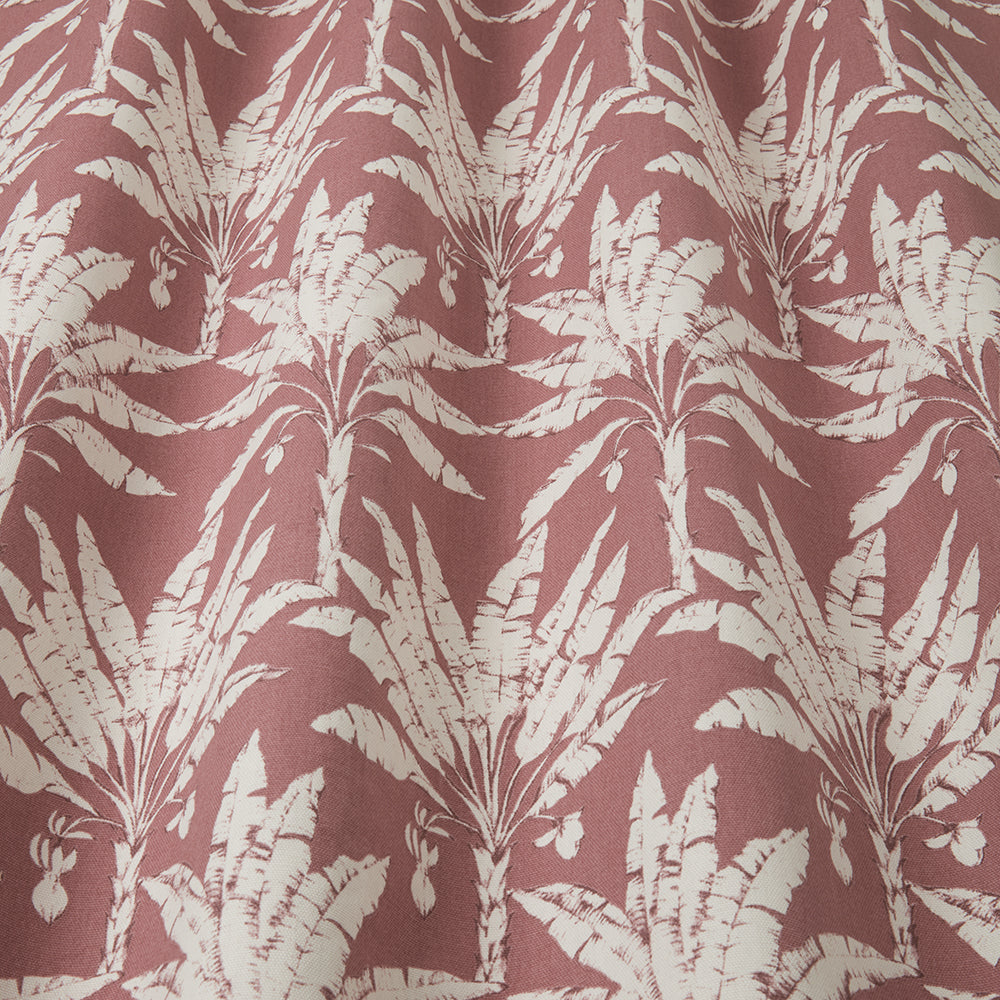 Iliv Palm House Woodrose