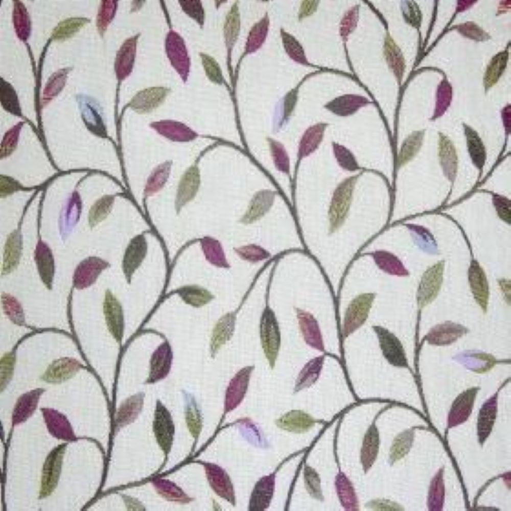 Voyage Cervino Elderberry
