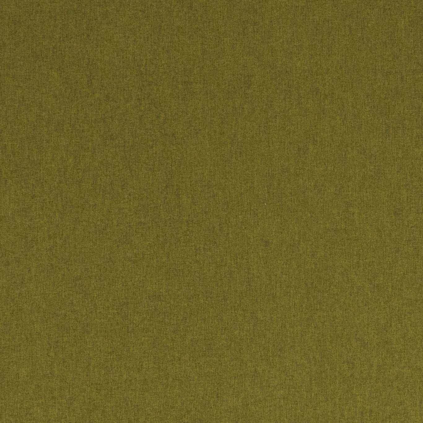 Clarke & Clarke Highlander Olive