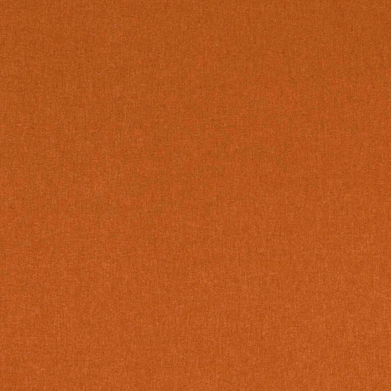 Clarke & Clarke Highlander Spice