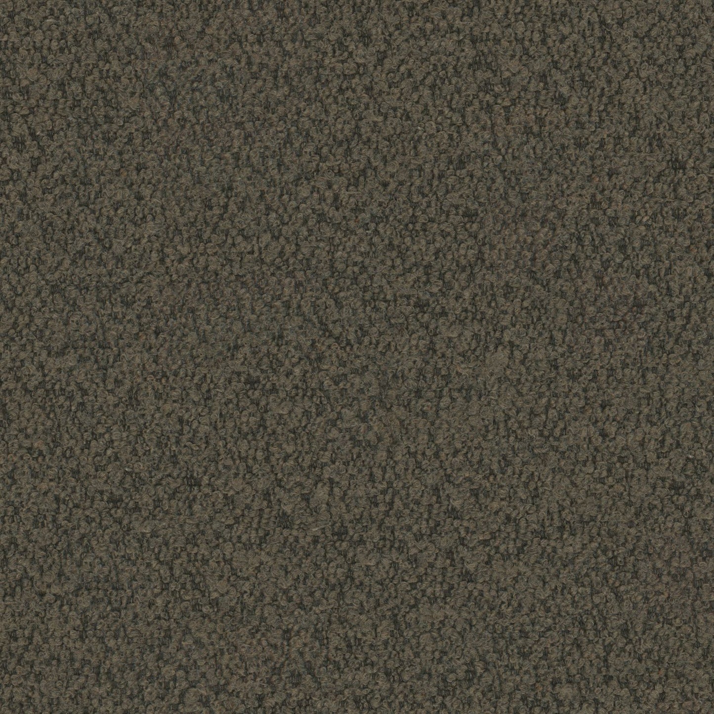 Warwick Everest Earth