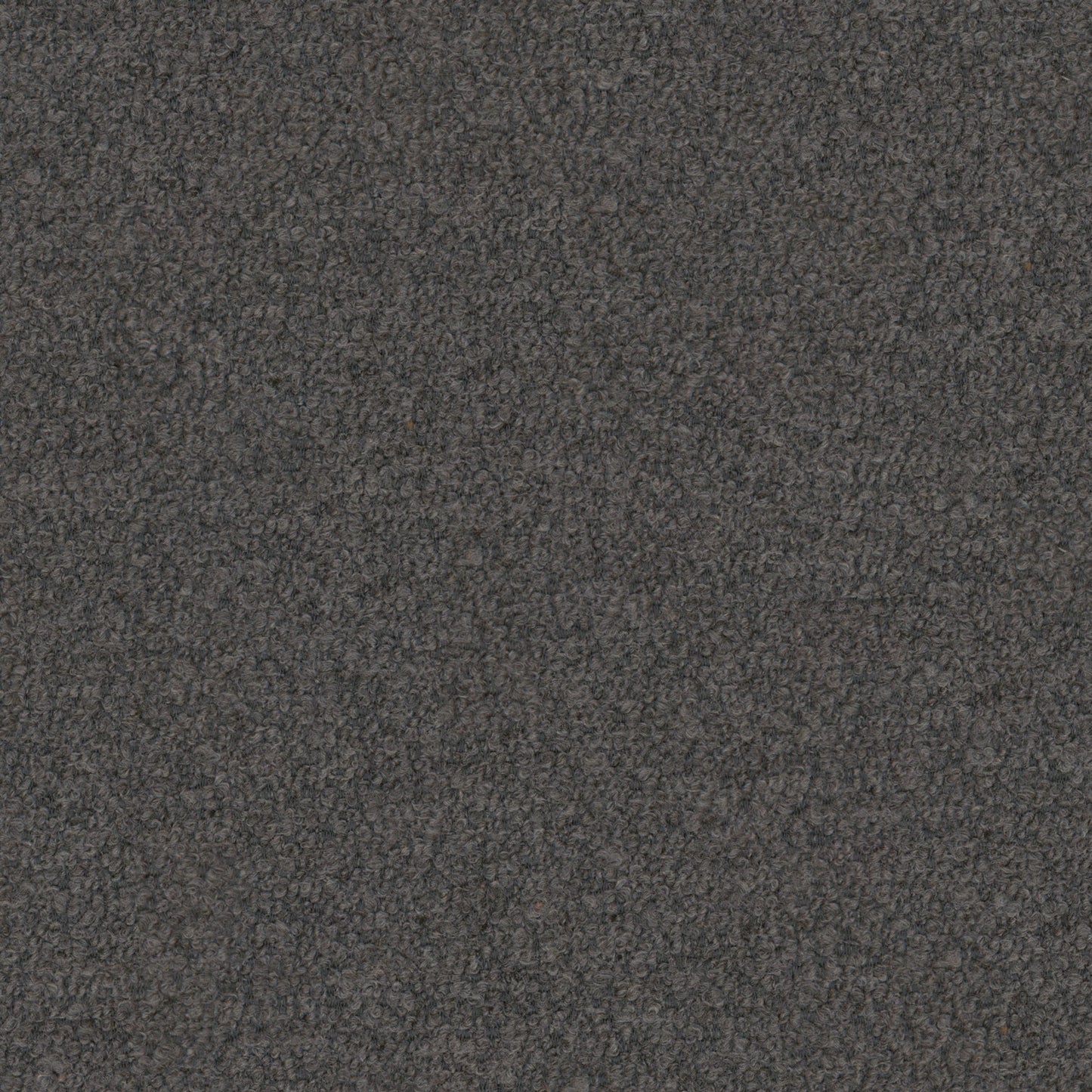 Warwick Everest Grey