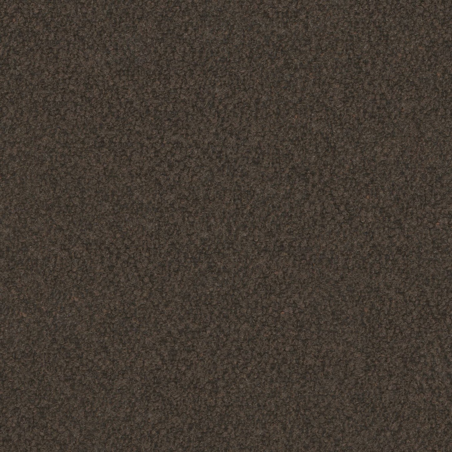 Warwick Everest Bitter