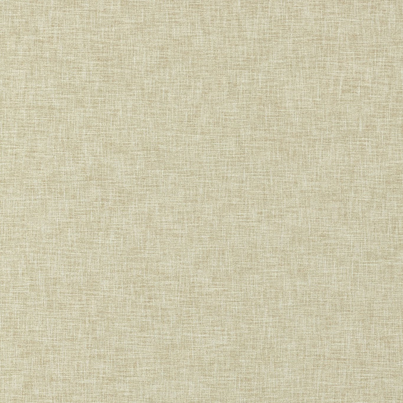 Clarke & Clarke Eco Friendly Gaia Flax