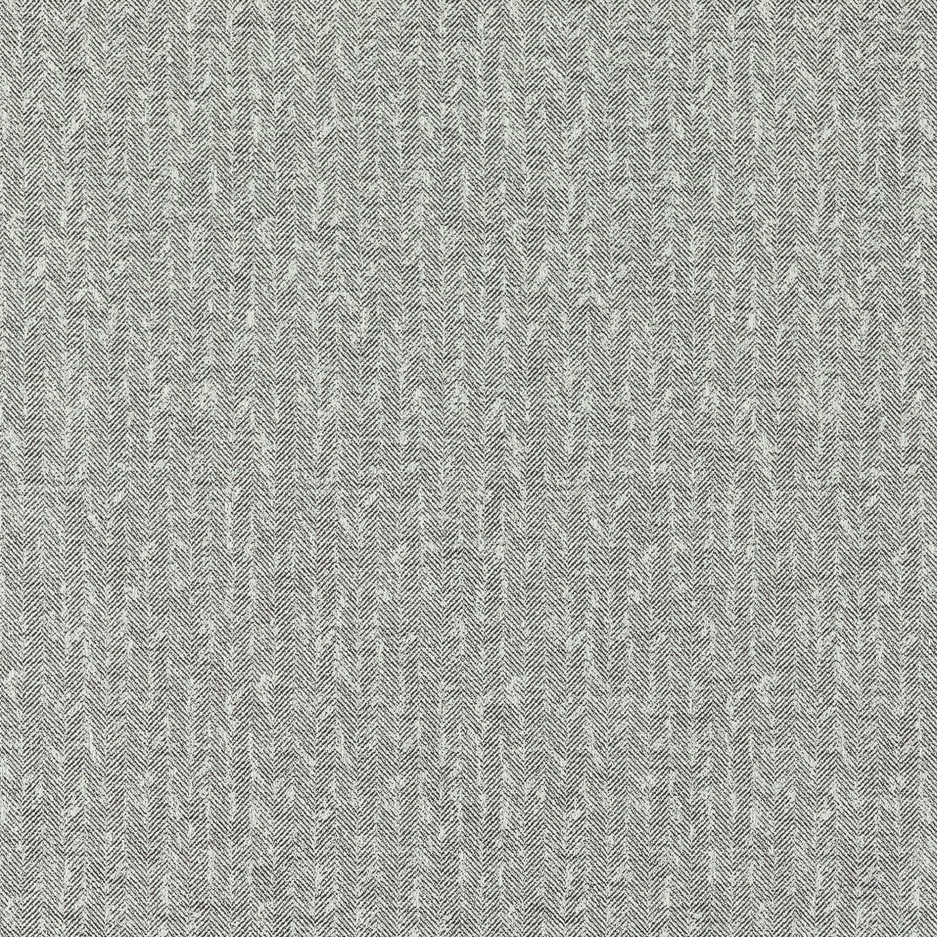 Clarke & Clarke Eco Friendly Tierra Charcoal