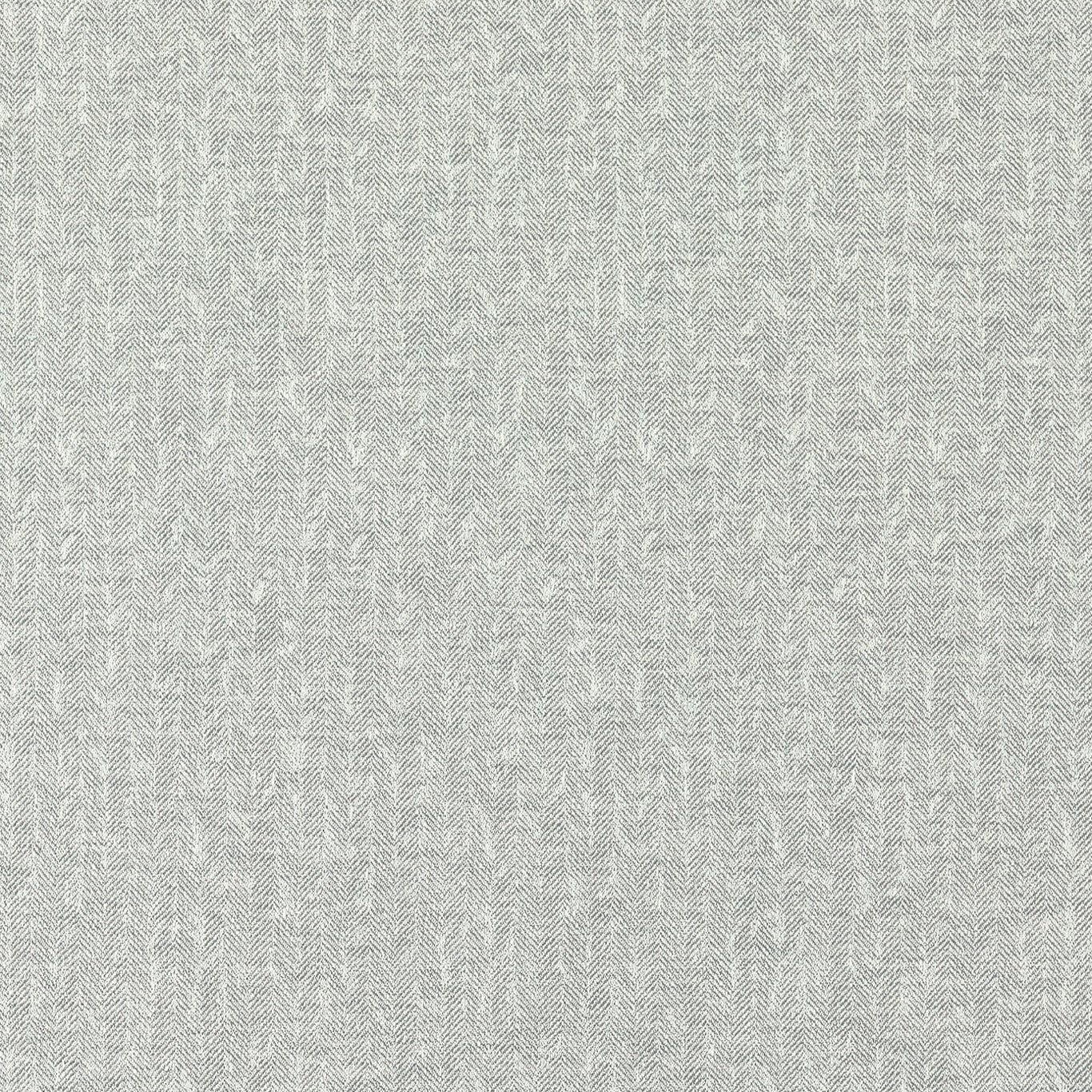Clarke & Clarke Eco Friendly Tierra Pewter