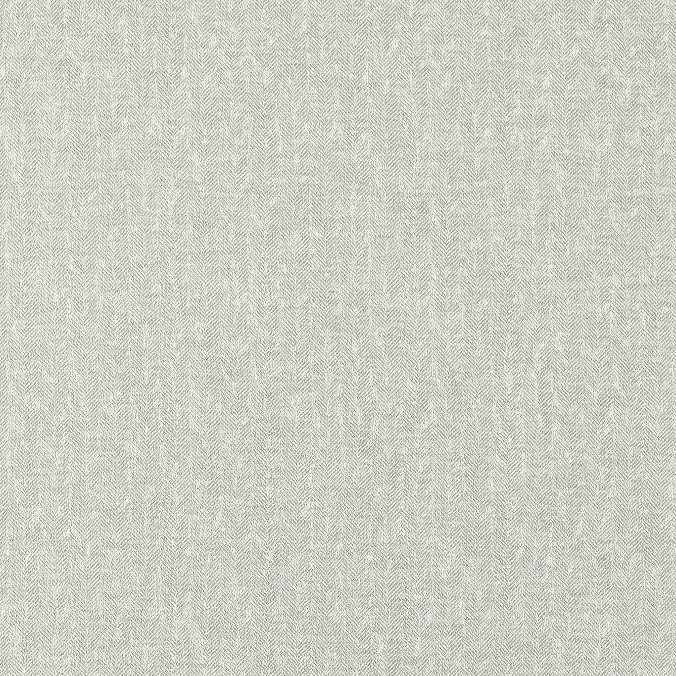 Clarke & Clarke Eco Friendly Tierra Silver
