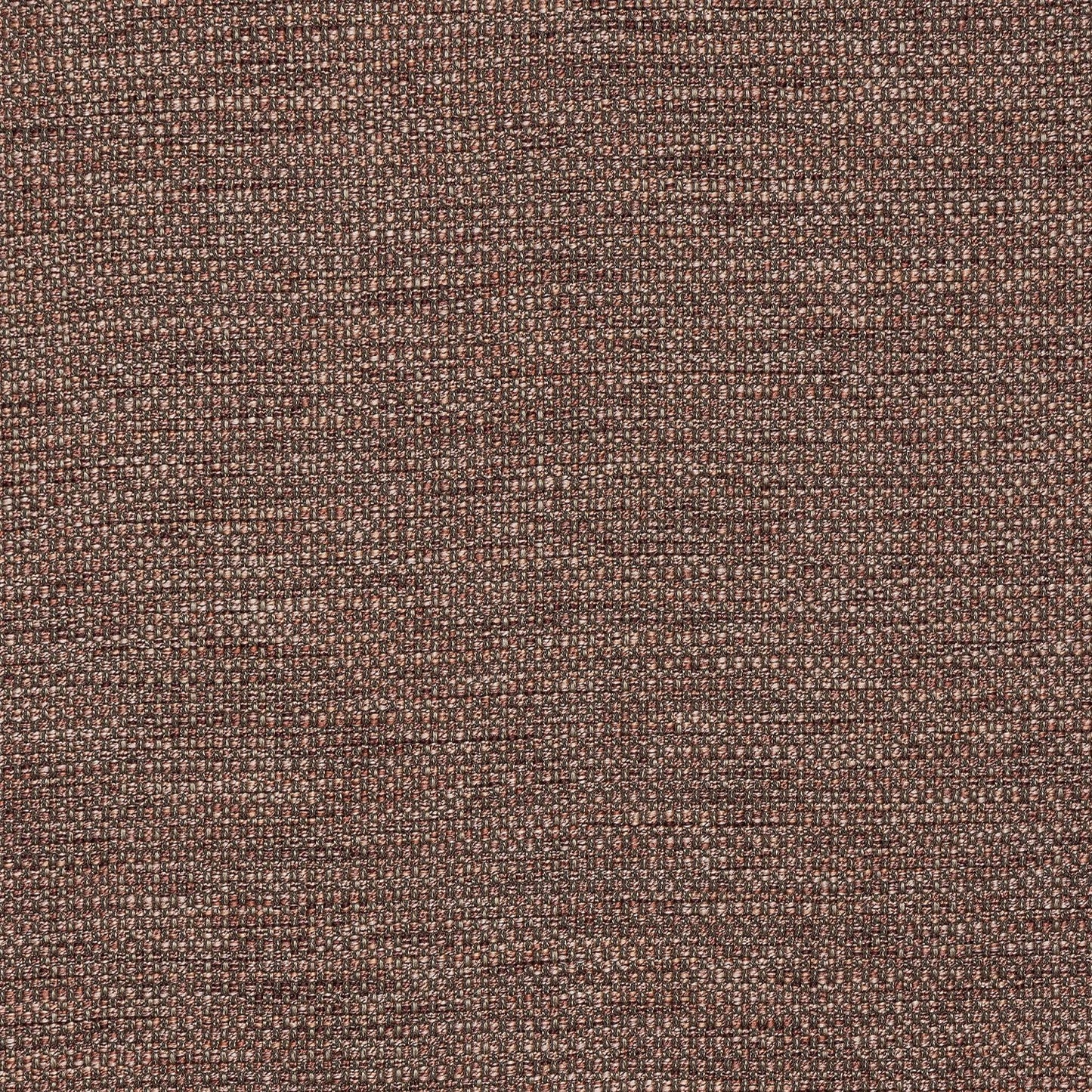 Fryetts Sparta Blush FR