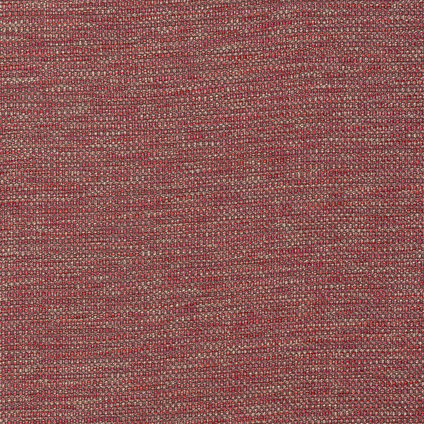 Fryetts Sparta Fuchsia FR