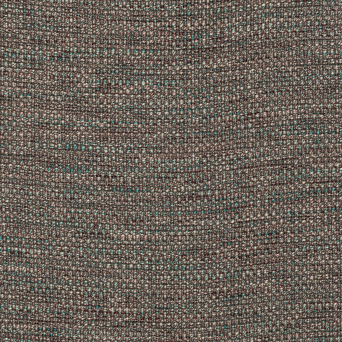 Fryetts Sparta Peacock FR