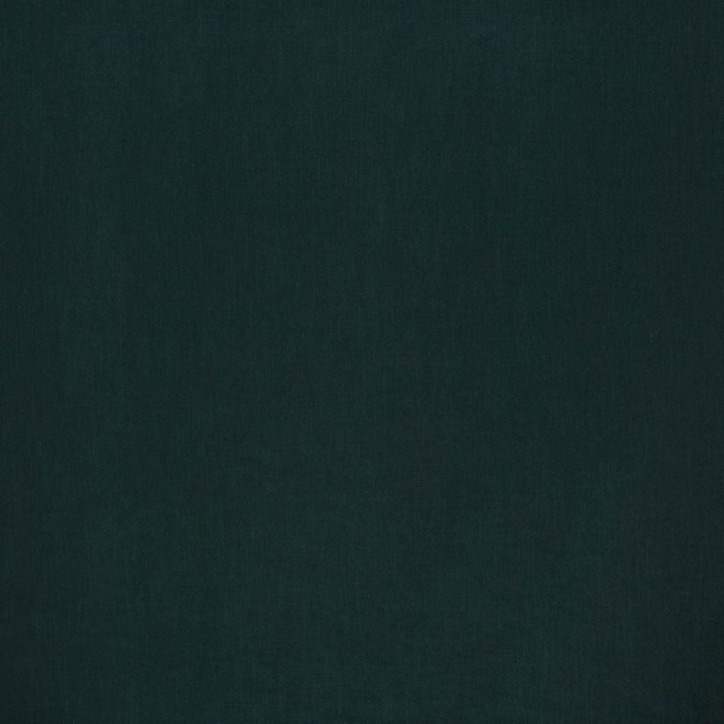 Ashley Wilde Florenzo Pine