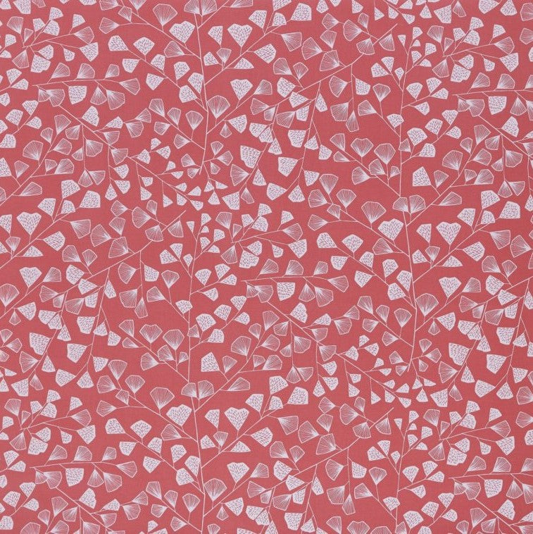 Ashley Wilde Fern Coral