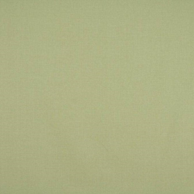 Ashley Wilde Cole Pistachio