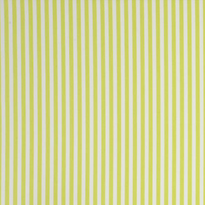 Clarke & Clarke Party Stripe Citrus