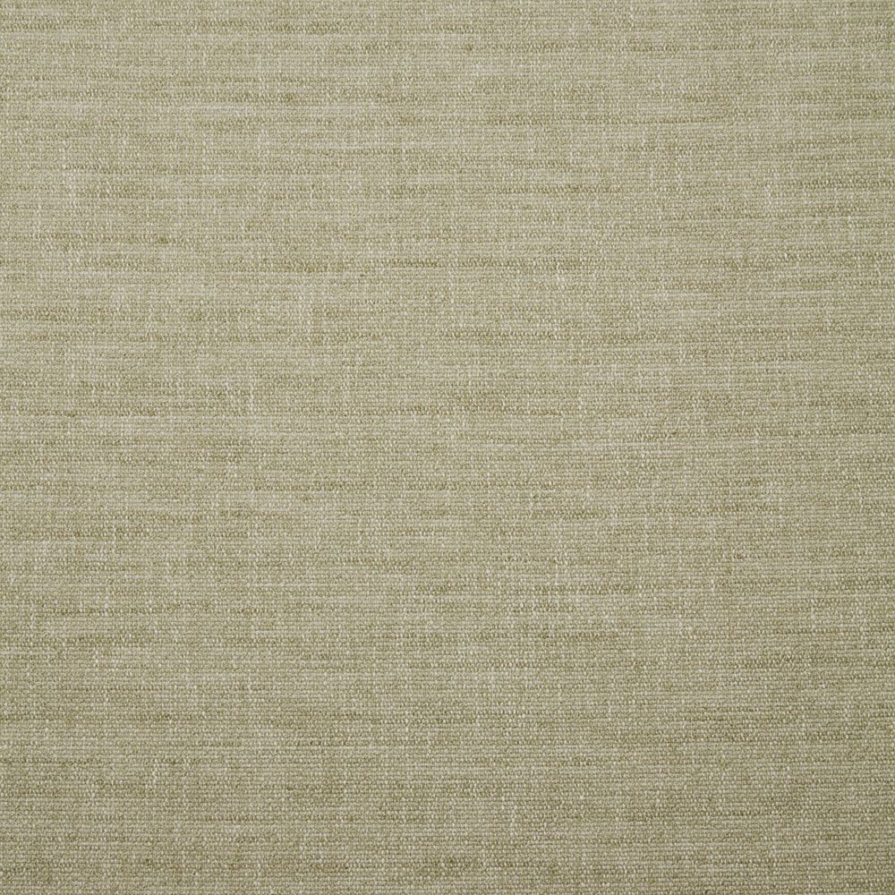 iLiv Eco Friendly Kapila Moss