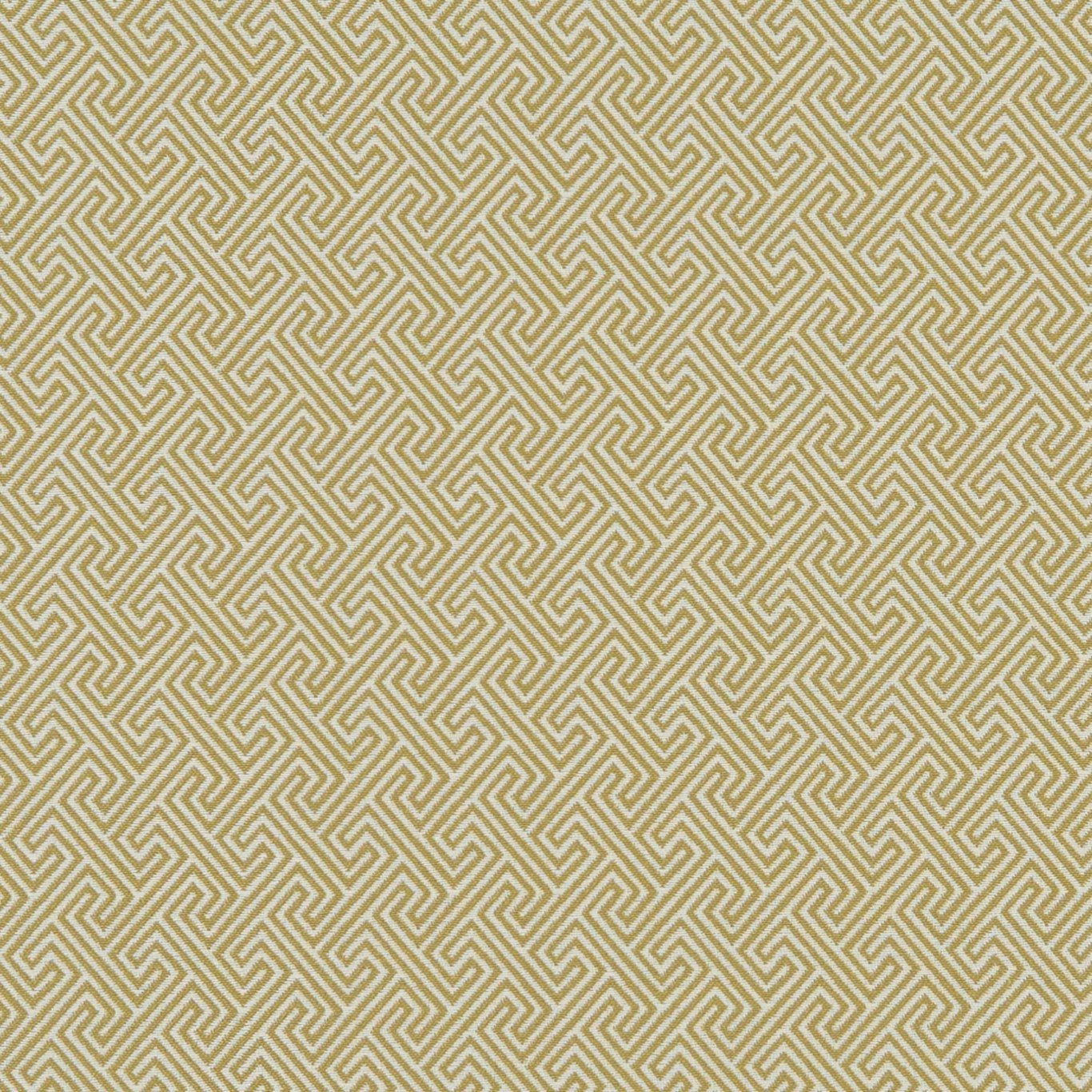 Clarke & Clarke Mercury Citron