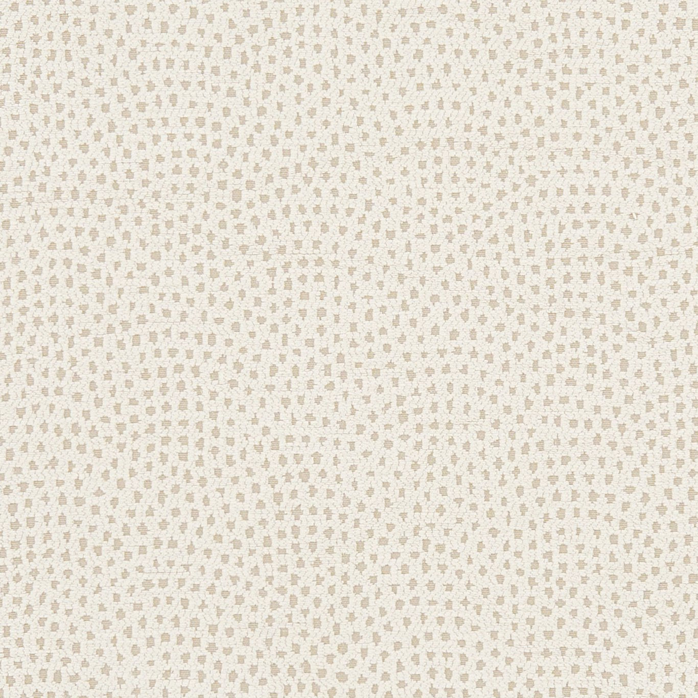 Clarke & Clarke Nebula Ivory