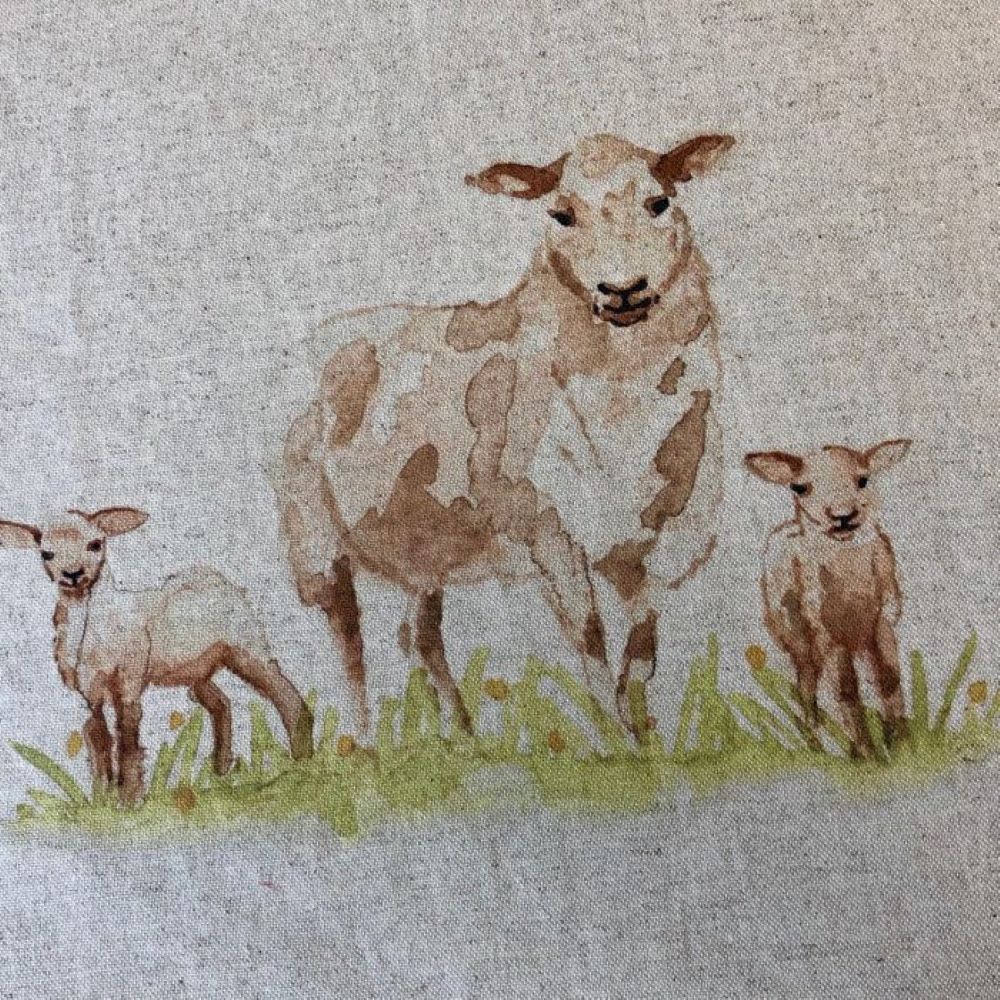 Girones Lamb