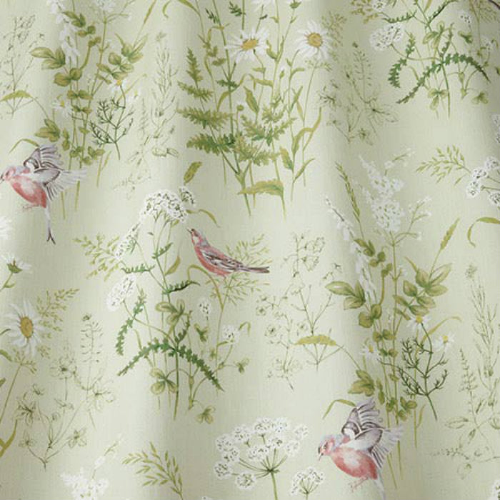 iLiv Forever Spring Fern