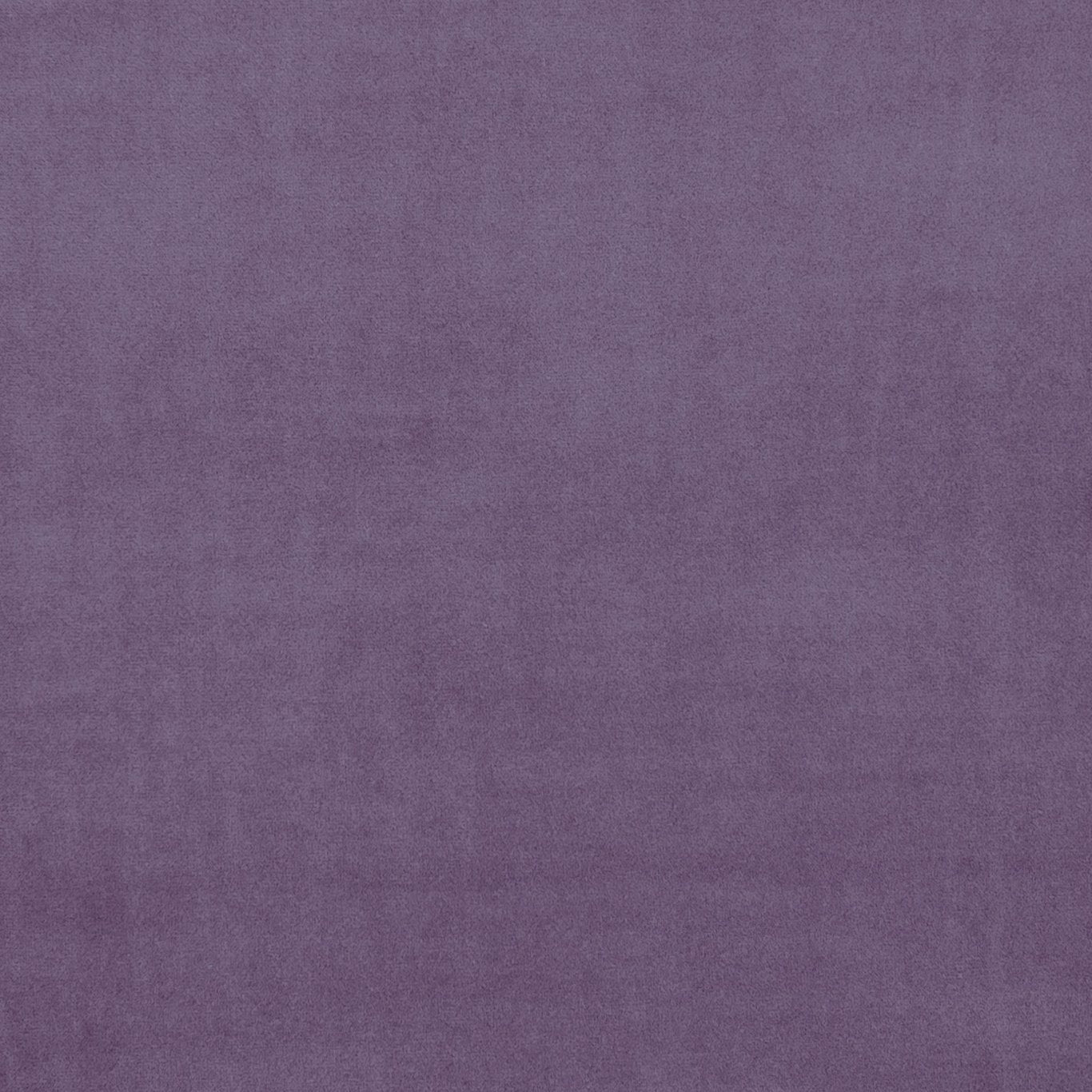 Clarke & Clarke Alvar Lavender