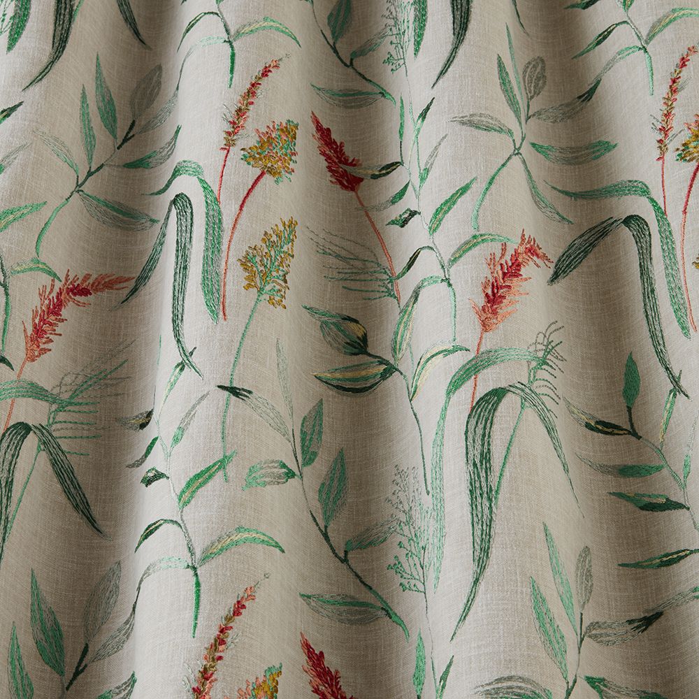 iliv Betony Clementine