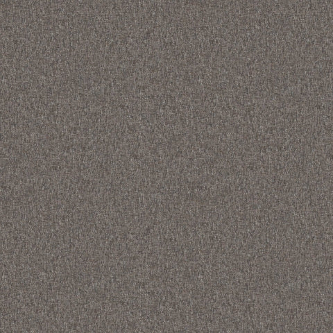 Warwick Denali Gravel