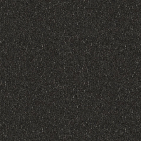 Warwick Denali Charcoal
