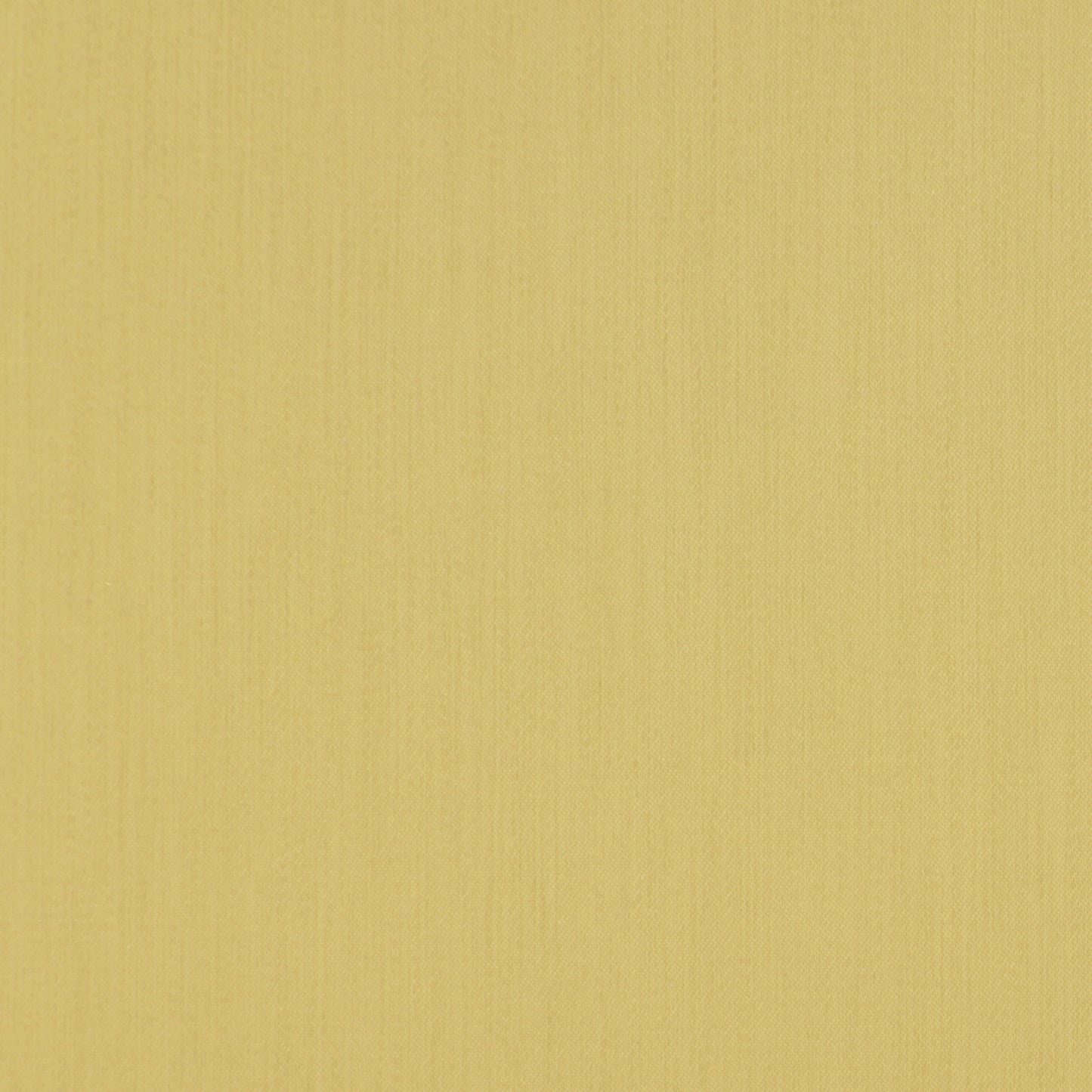 Hardy Strata Buttercup