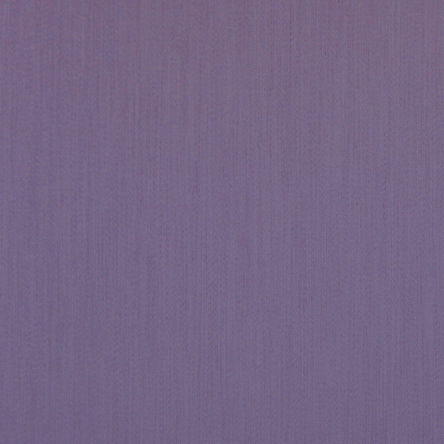 Hardy Strata Violet