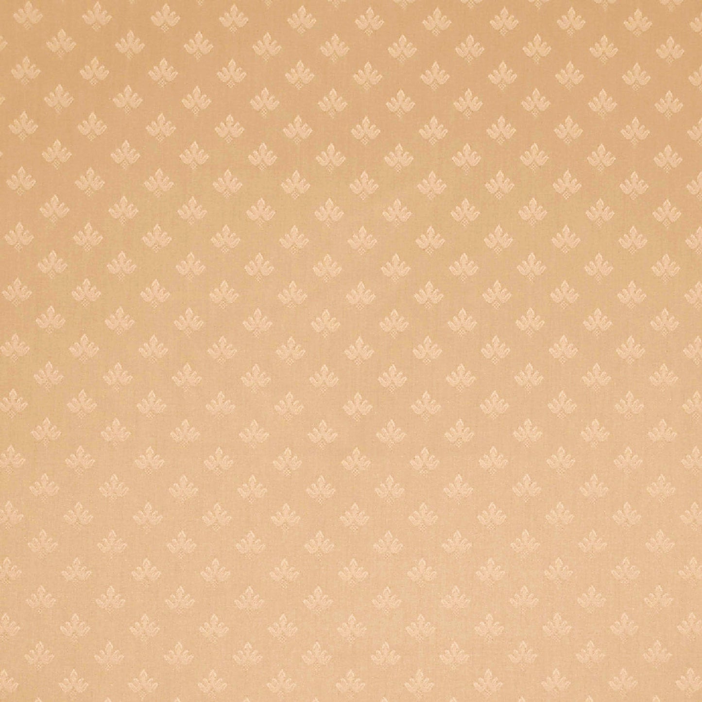 Hardy Prelude Sandalwood