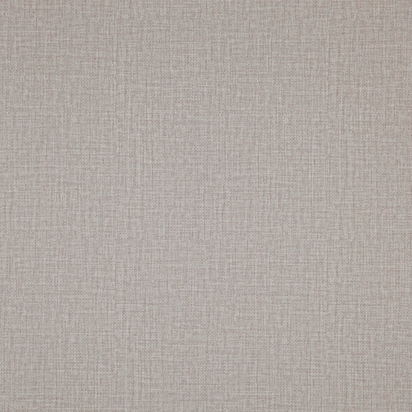 Hardy Avignon Oyster